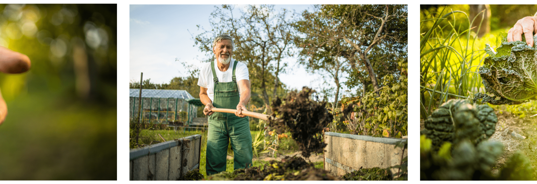 גבר עם כלי גינון עוסק בגינון בגינה