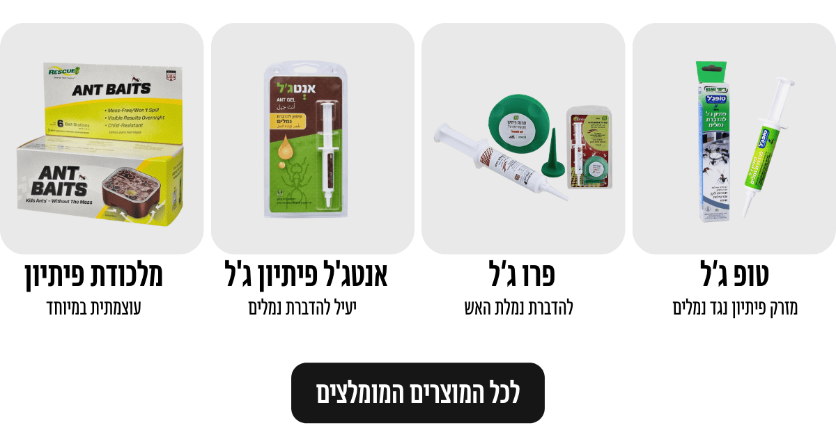 איפה אפשר לקנות מזרק נגד נמלים? - צור מרקט - הכל לבית ולגינה
