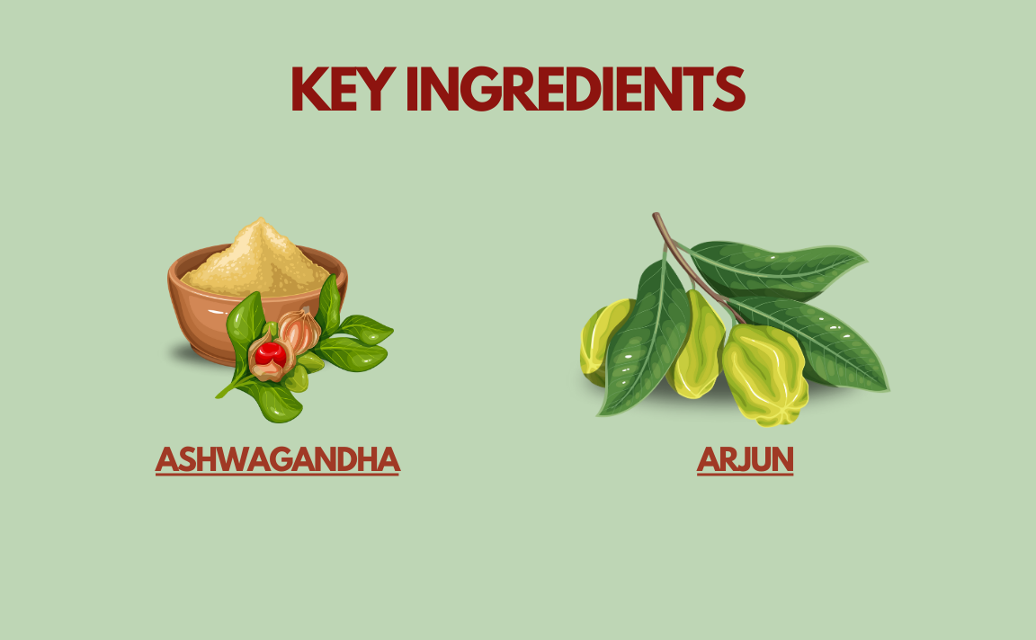 Key Ingredients Used in Arjun Ashwangandha juice