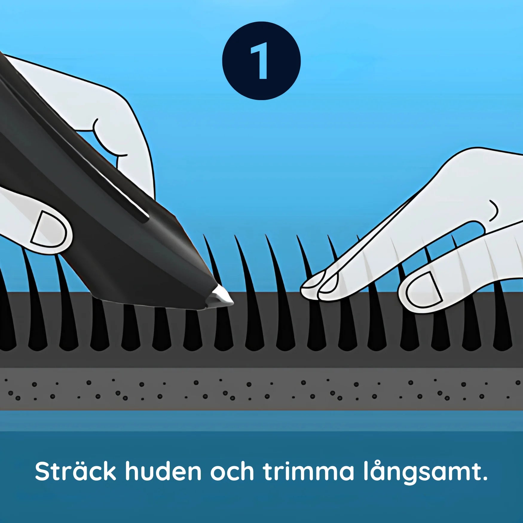 1-Safe Instruction  SWEDISH.webp__PID:bad605ba-6b2c-4c93-bc01-7ef03e96e1f4