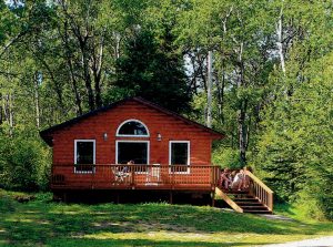 Evergreen cabin camp wannakumbac chalet rental airbnb