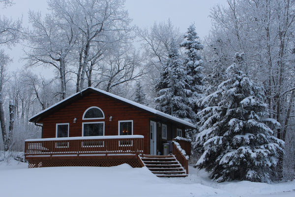 Evergreen cabin during winter