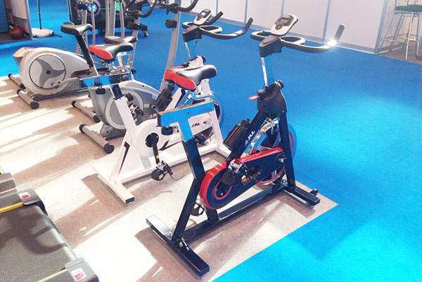 ic300 indoor bikes