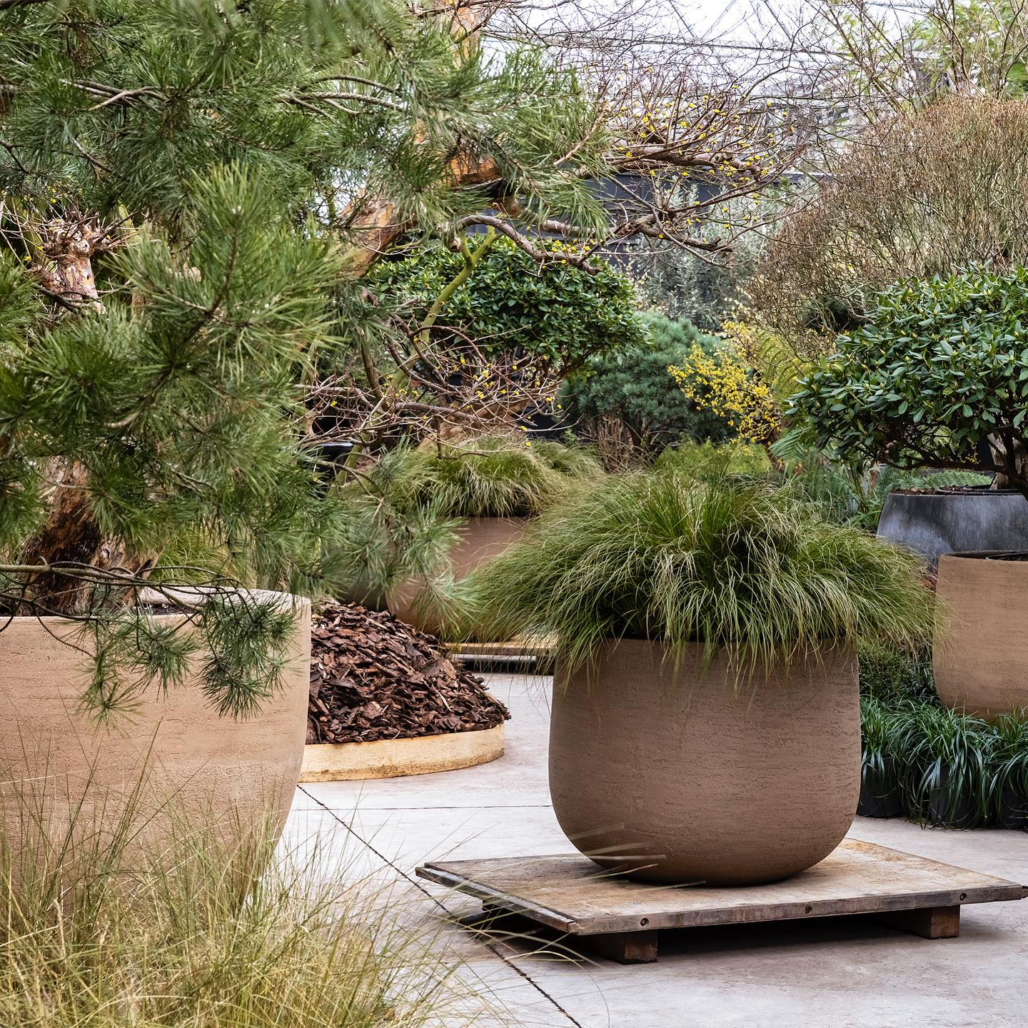 Blog 2024 Interior Greenery Trends - The Ultimate Guide To Elevate Your Space with Luxury Planters & Pots - Outdoor Planter.