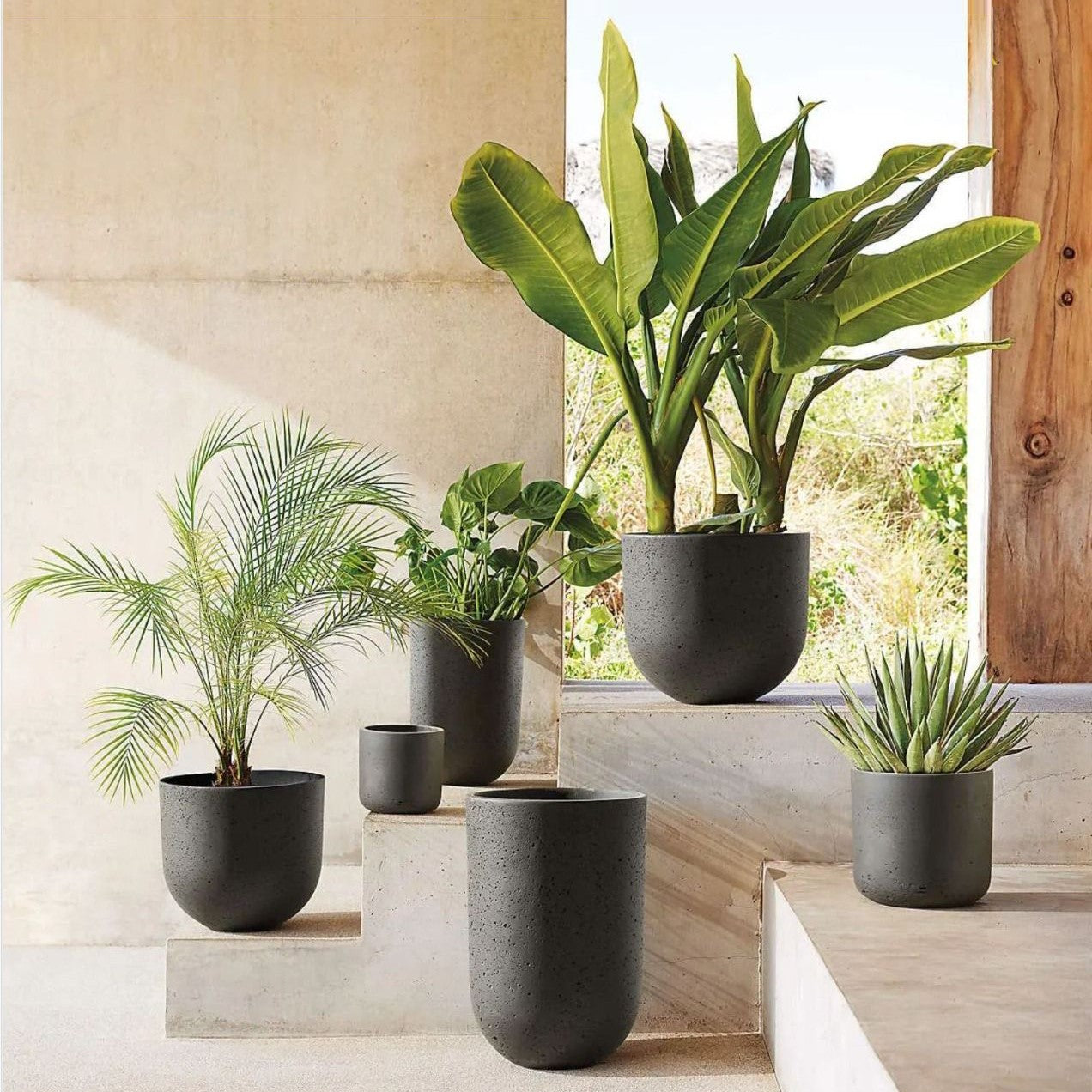 Blog 2024 Interior Greenery Trends - The Ultimate Guide To Elevate Your Space with Luxury Planters & Pots - Different Planters in Black Color.