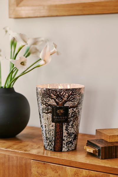 Baobab new launch - Sacred Trees Candle styled on a style board in a luxury home