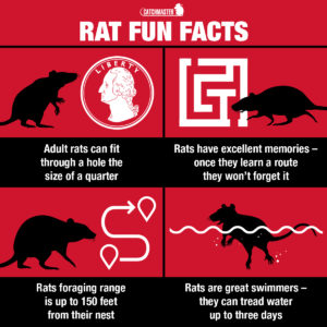 Alternate Rodent Baits - Fun Facts