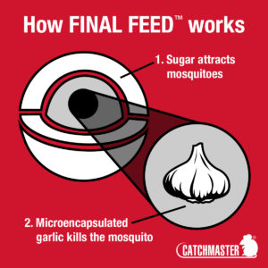 How Final Feed Works