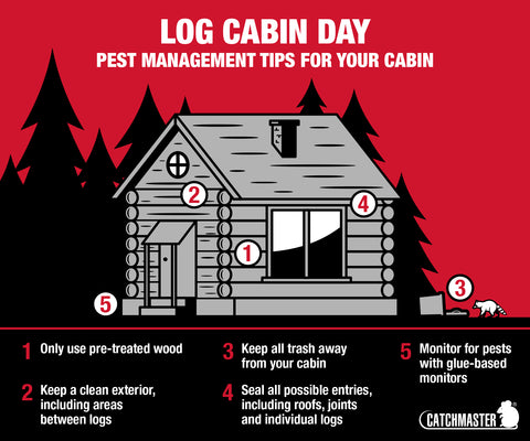 log cabin day