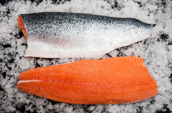 Atlantic salmon