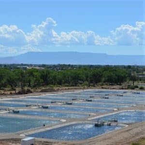 Aquaponics field