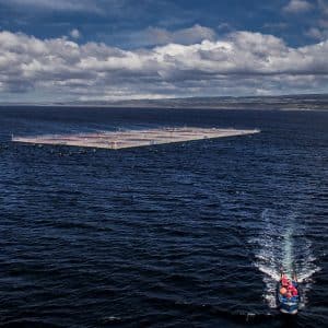 salmon Aquaculture at sea