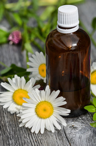 chamomile essential oil