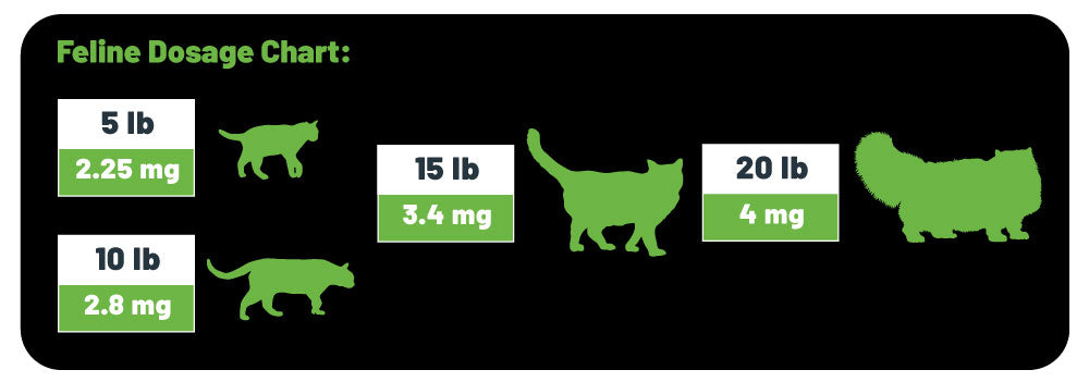 Cat CBD Dosage Cart
