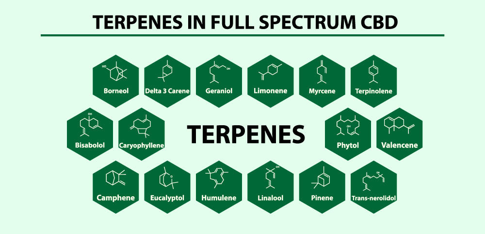 Terpenes in full spectrum CBD