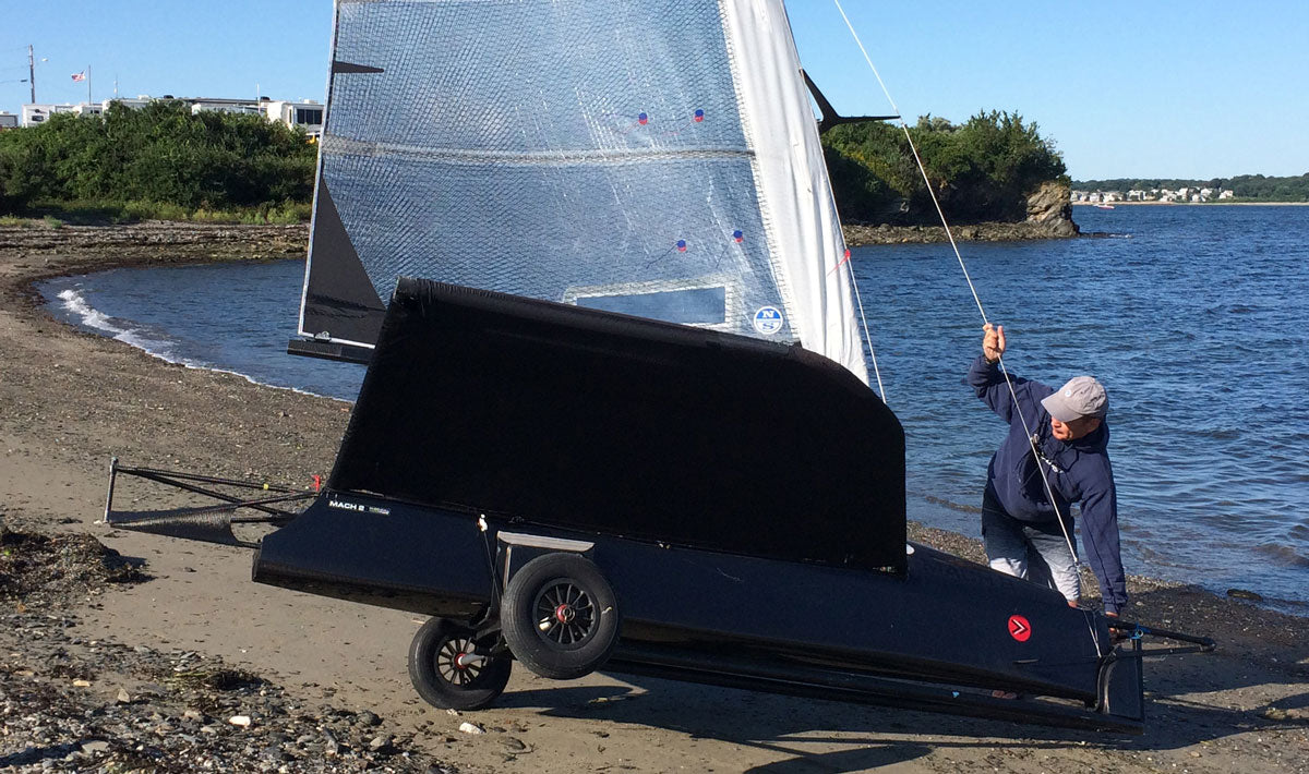 capsize moth on beach