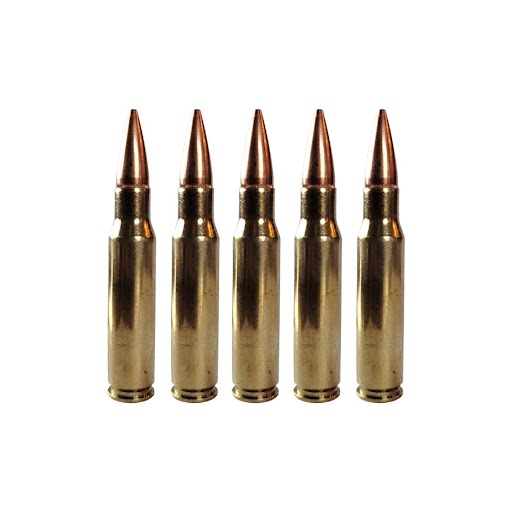 9MM BRASS - PRIMED PROCESSED – Lakeshore Ammunition