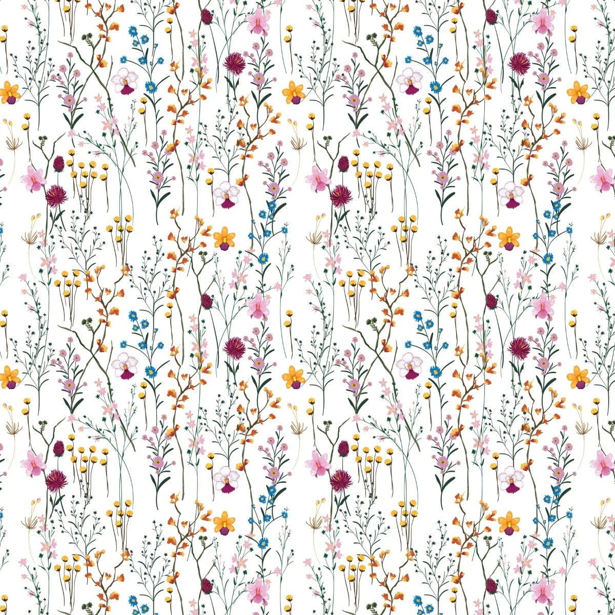 Wildflower wallpapers - backiee