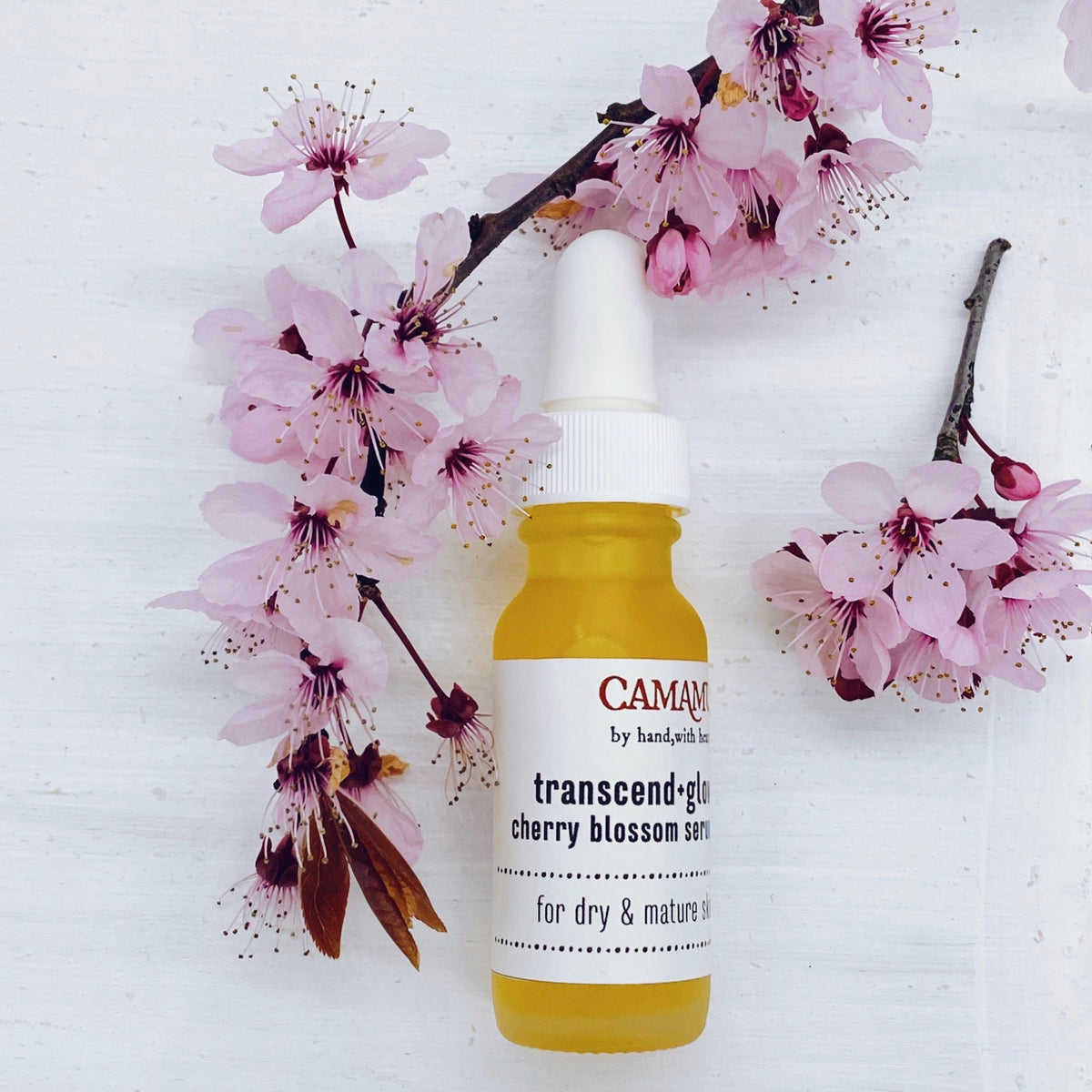 transcend + glow: cherry blossom serum