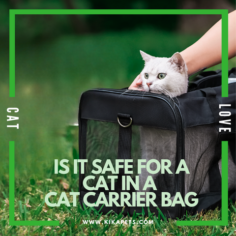 Is it safe to carry a cat in a cat carrier bag?
