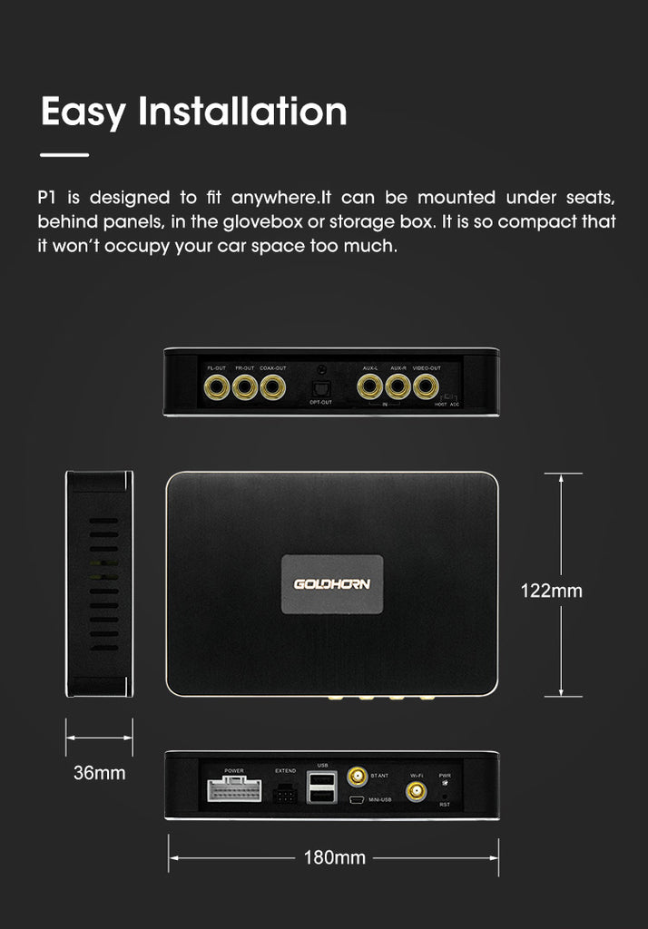 Goldhorn P1 Installation