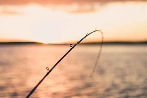Une cannes à pêche est tendu vers l'horizon.