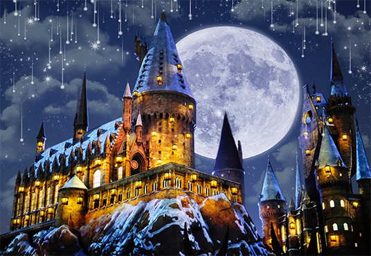 Harry Potter Event, Backdrops Beautiful, Hand Painted Scenic Backdrop  Rentals and Sales