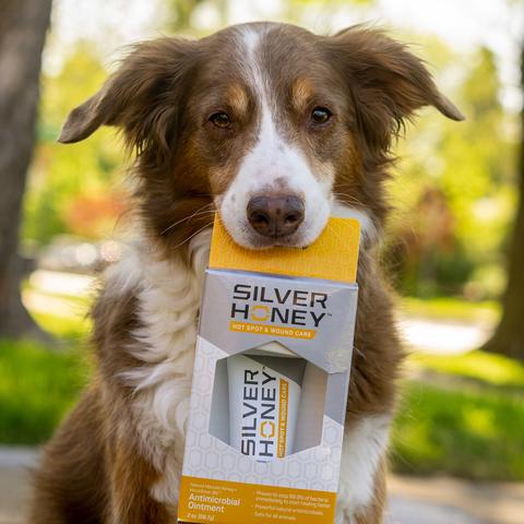 dog carrying silver honey product