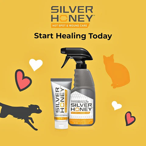 silver honey Product Image with CTA: Start Healing Today 