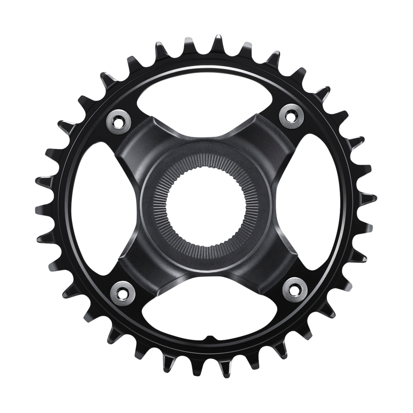 bike chainring