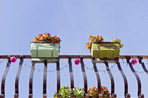 DIY Balcony Succulent Gardens