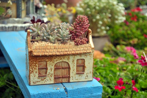 Understanding the Concept of Succulent Home Decor