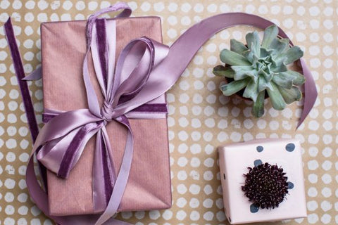 succulent gift box