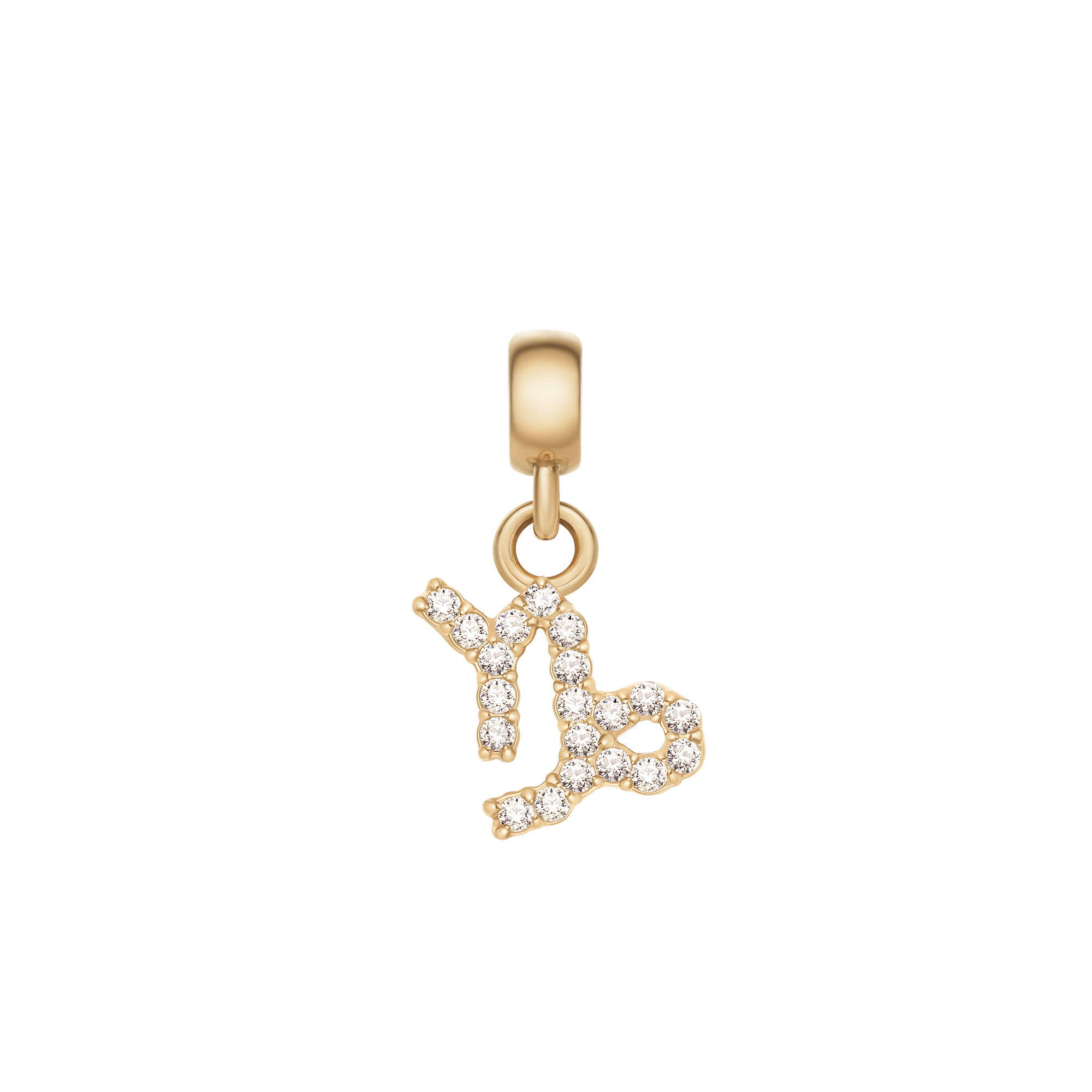 Bilde av Daniel Wellington Dw Charm Zodiac Capricorn Gold