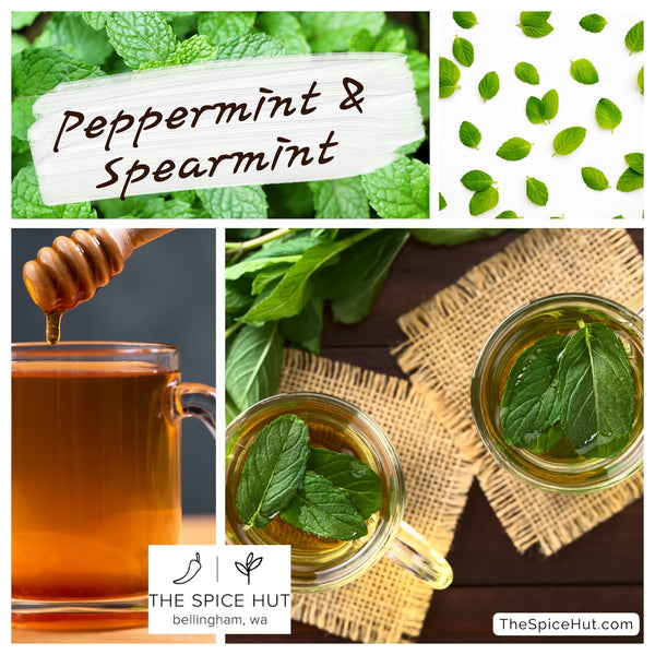 A vibrant image featuring peppermint and spearmint, highlighting their health benefits. These aromatic herbs offer more than delightful flavors. Rich in antioxidants, they aid digestion, alleviate headaches, and promote respiratory health. Whether infused in teas or used in culinary creations, embrace the refreshing and healthful qualities of peppermint and spearmint for a revitalizing addition to your well-being