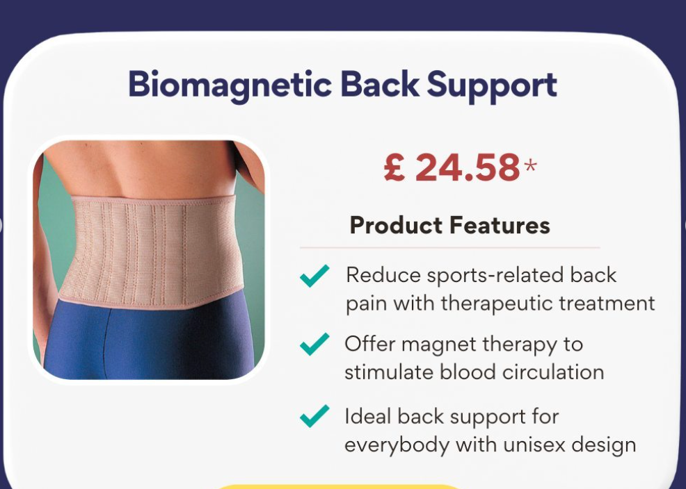 biomagnetic back support