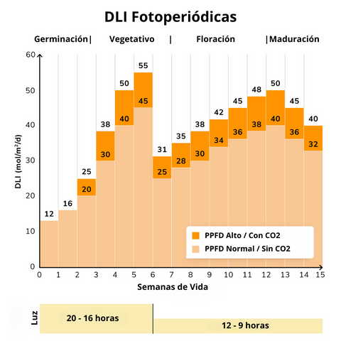 DLI FOTOPERIODICAS