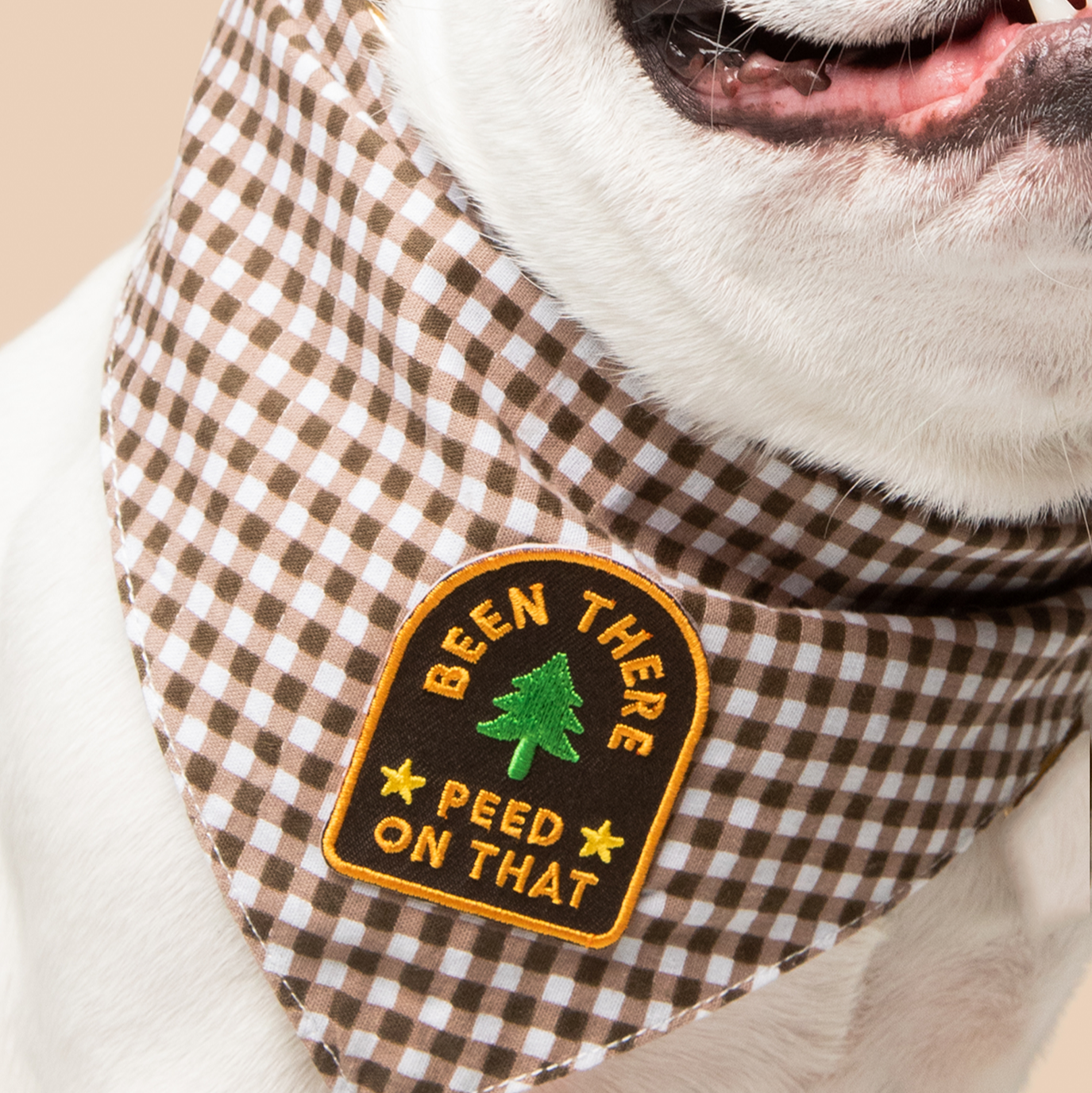 Scout's Honour - Been There Peed on That iron-on patch for dogs