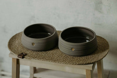 Modern Ceramic Dog Bowls from KIND