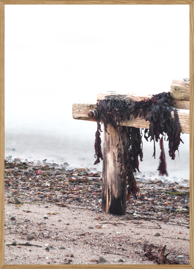 Billede af STRANDBÆNK - NATURPLAKAT - Naturplakater - Living Nature