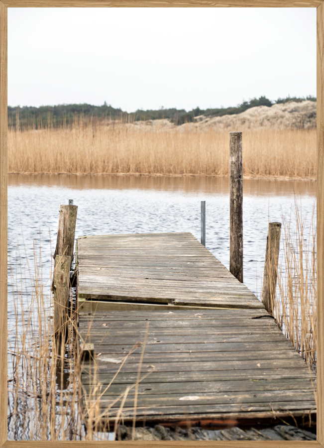 Billede af NYMINDEGAB - NATURPLAKAT - Naturplakater - Living Nature