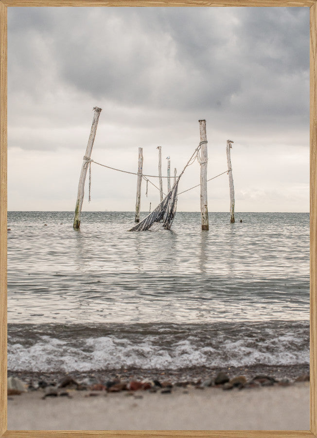 FISKENETTET - NATURPLAKAT - Naturplakater - Living Nature