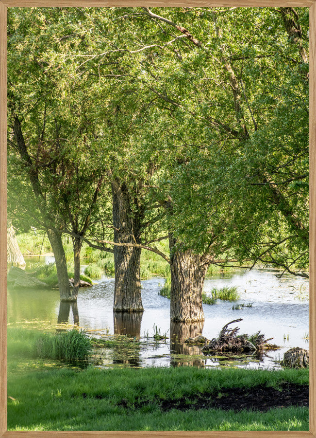 IDYLLISK - NATURPLAKAT - Naturplakater - Living Nature