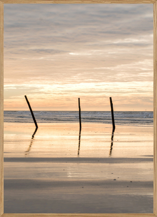 Billede af AFTENSOL VED VEJERS STRAND- NATURPLAKAT - Naturplakater - Living Nature