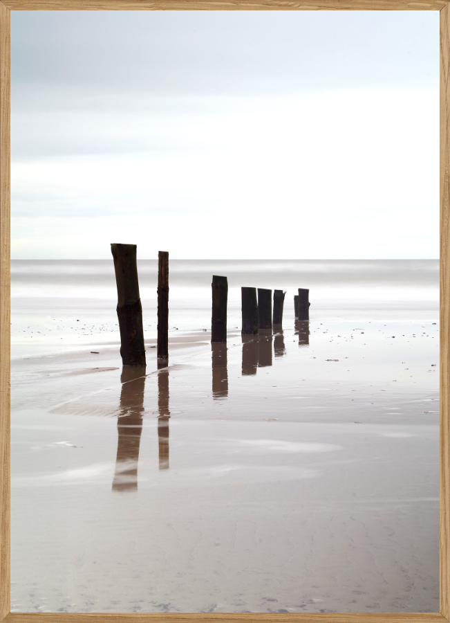 Billede af BØRSMOSE STRAND - NATURPLAKAT - Naturplakater - Living Nature