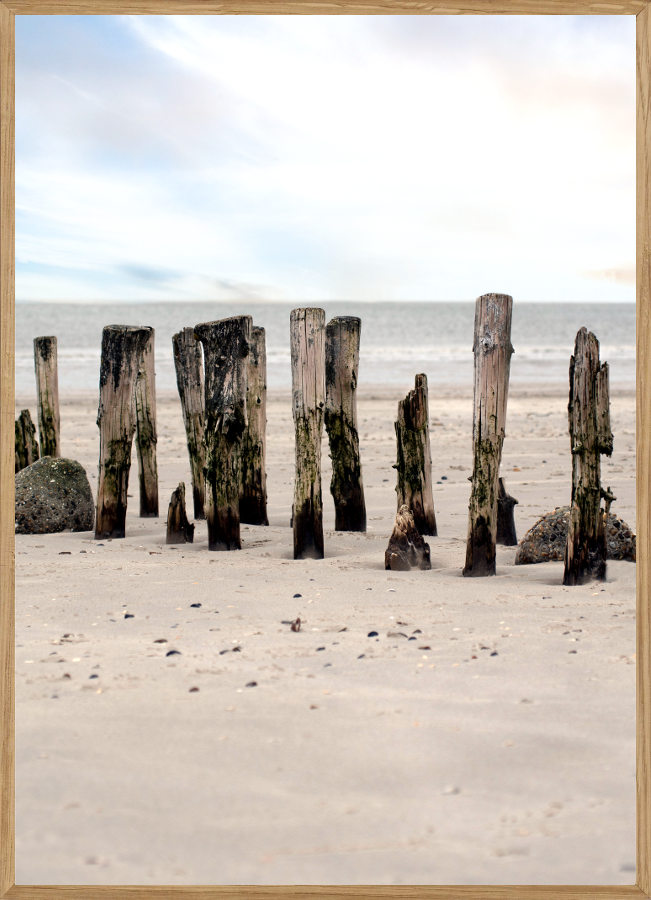 Billede af BLÅVAND STRAND - NATURPLAKAT - Naturplakater - Living Nature