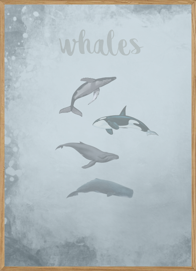 WHALES BLUE - BØRNEPLAKAT - Børneplakater - Living Nature