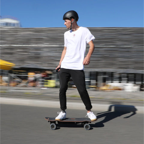 Contrôleur pour moteur double de Skate Electrique Elwing