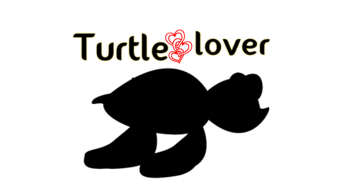 turtlelovershop