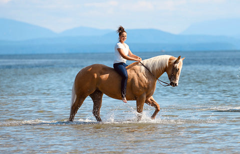 Tara Bardal riding her horse in the ocean